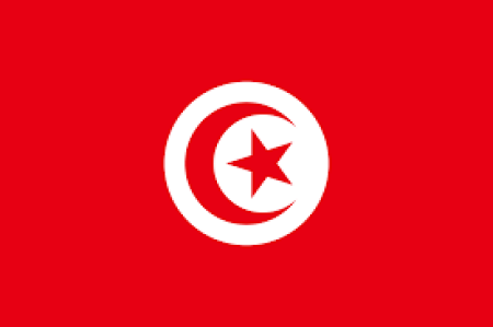  ◳ Tunisia (png) → (šířka 450px)